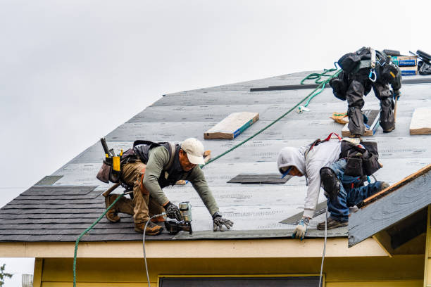 Professional Roof Installation technician working in Drain, OR